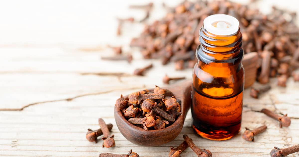 Clove  Essential Oil