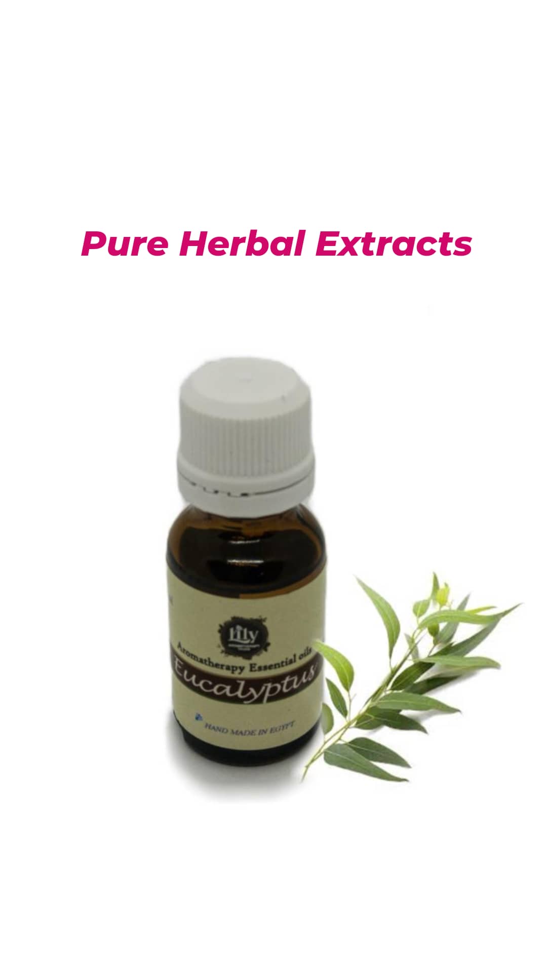 Eucalyptus Essential Oil